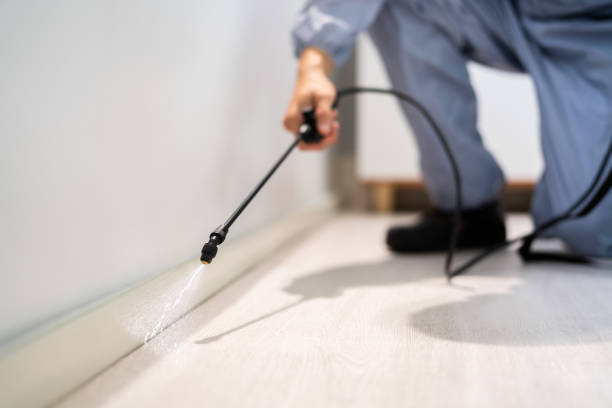 Licensed Termite Control service in Tichigan, WI - Nex Pest Control