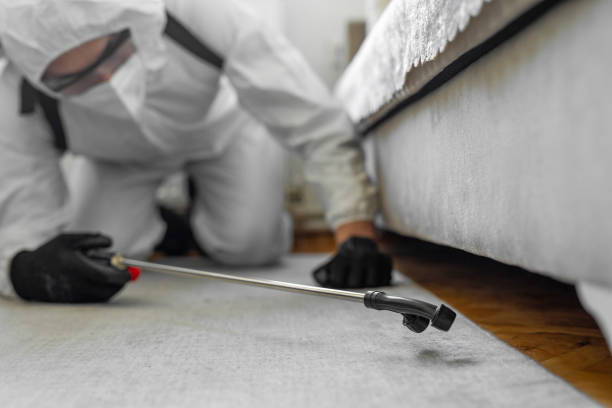 Professional Termite Control technician working in Tichigan, WI