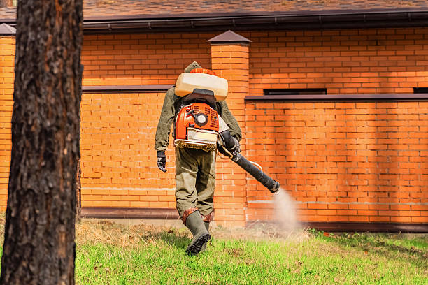 Top rated local Termite Control specialists in Tichigan, WI